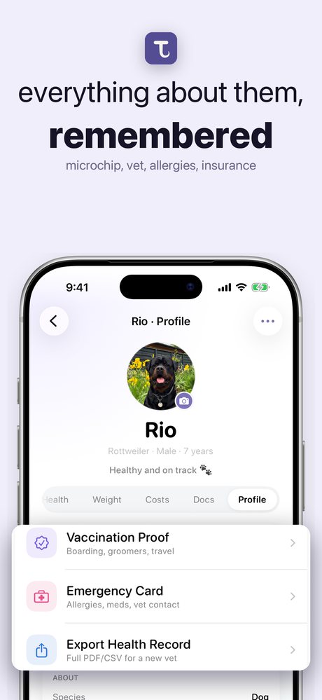 App Store screen six