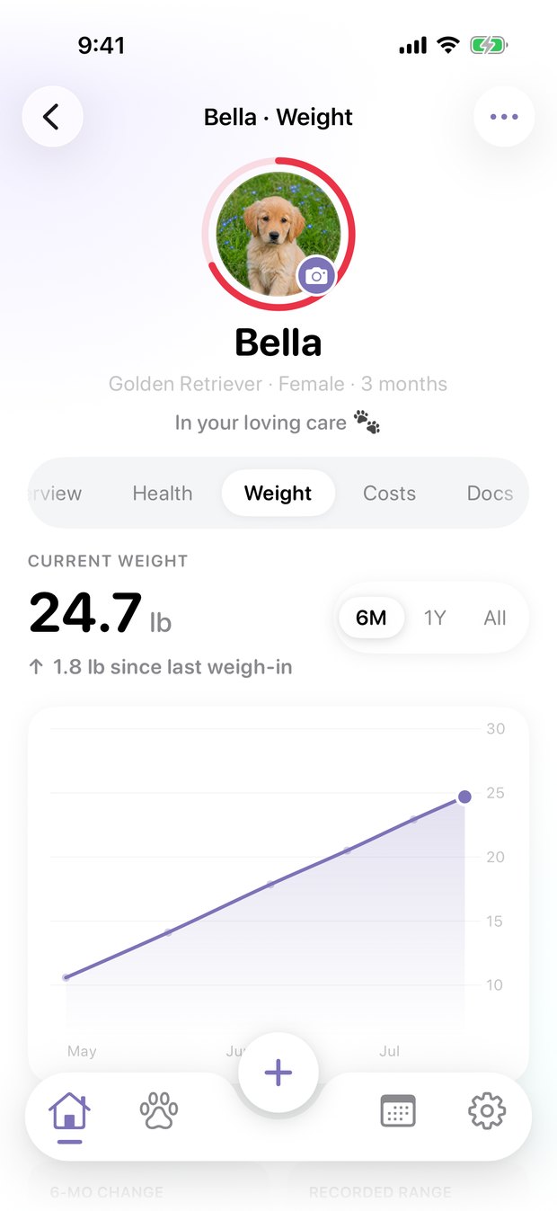 Weight chart
